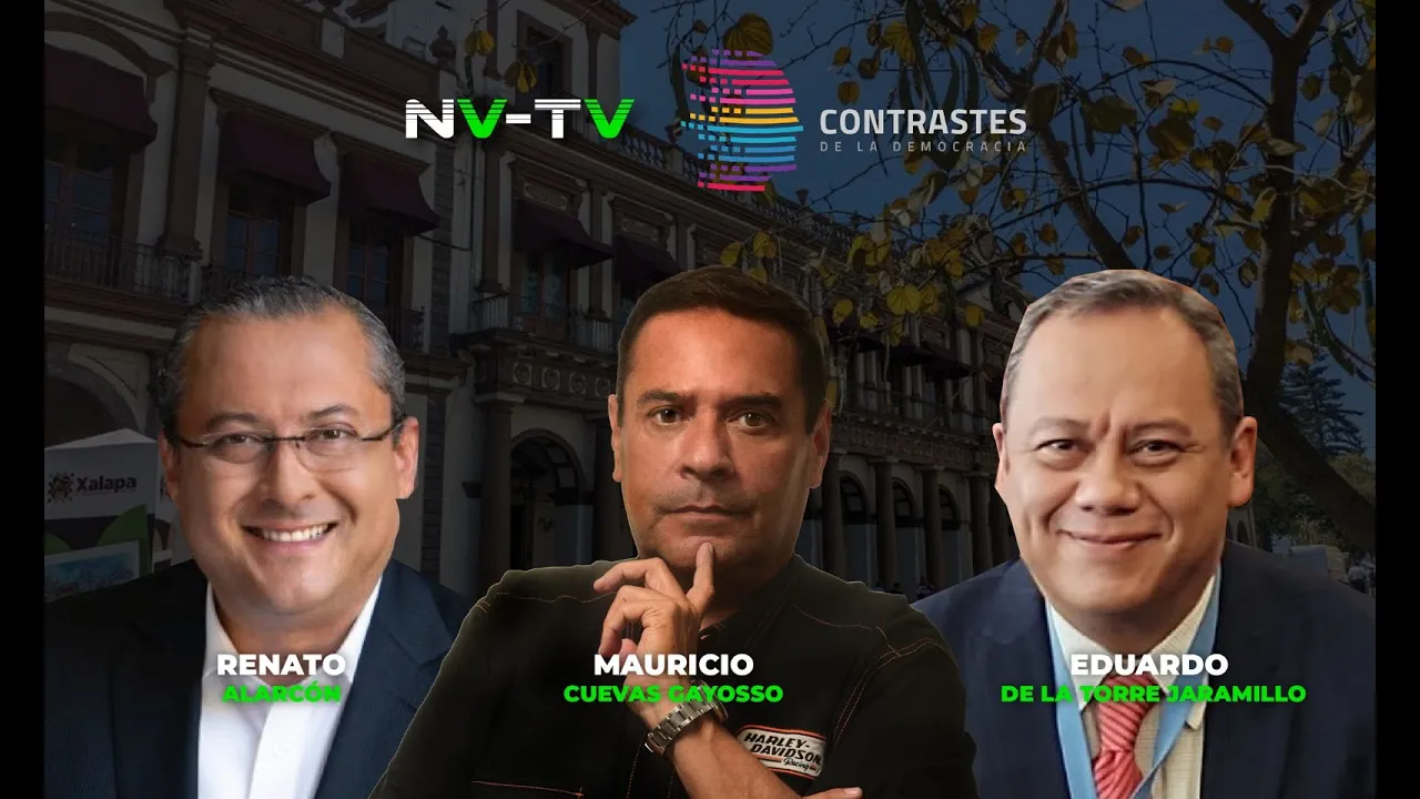 Contrastes de la Democracia